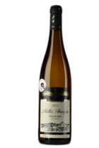 Müller Thurgau pozdní sběr 2012